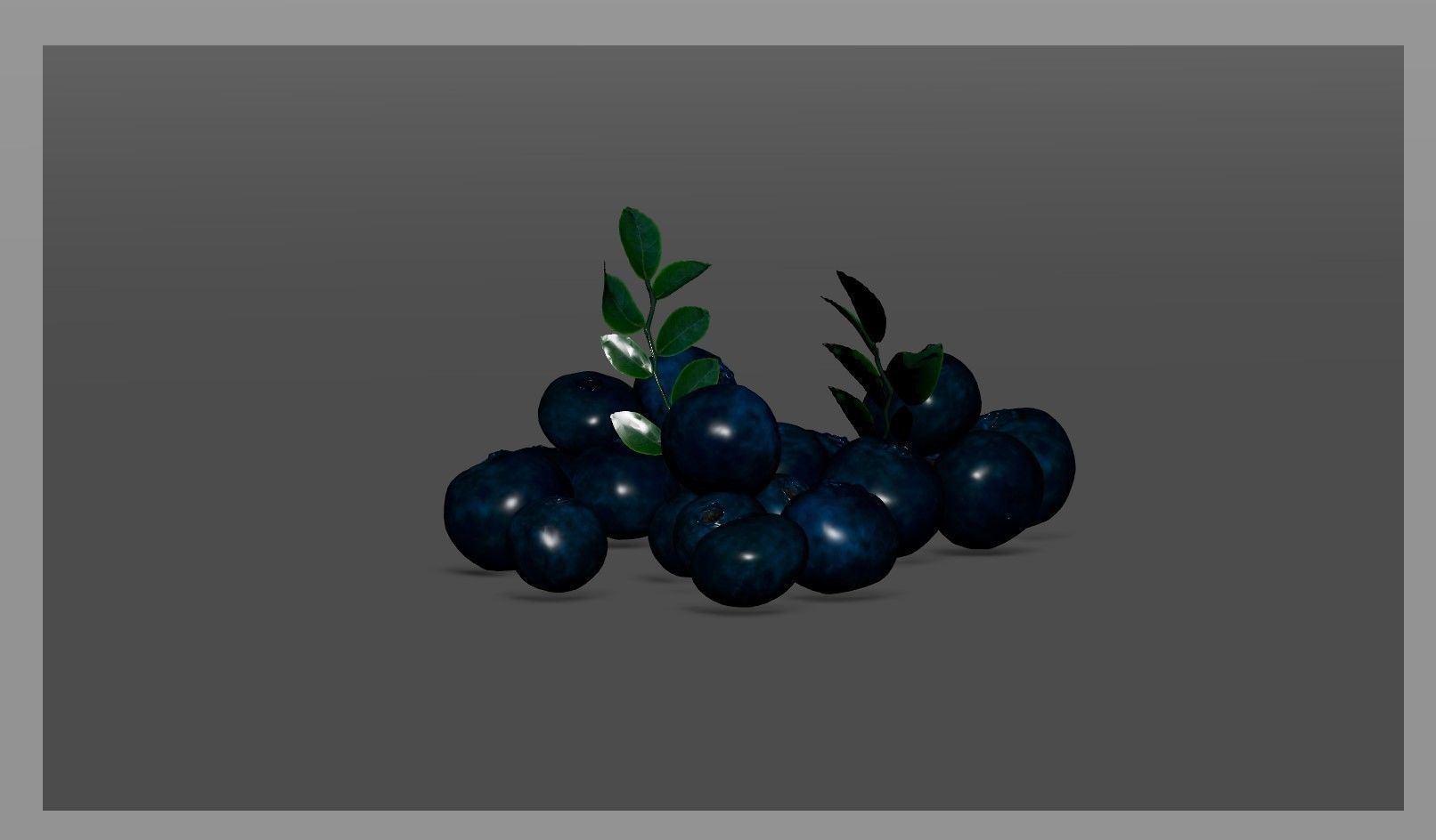 Blueberry 3D model_25