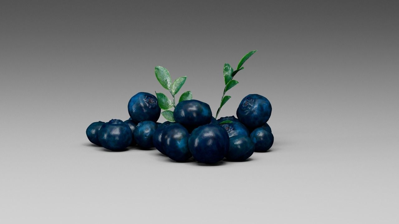 Blueberry 3D model_15