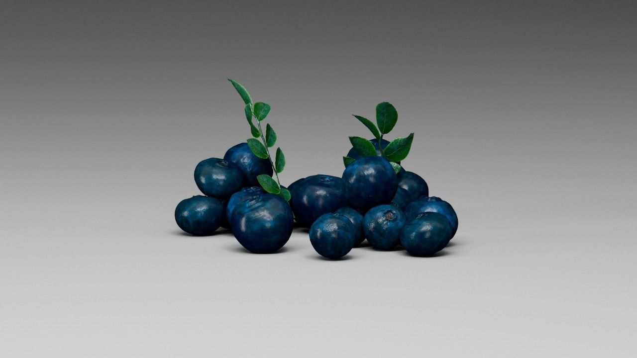 Blueberry 3D model_4