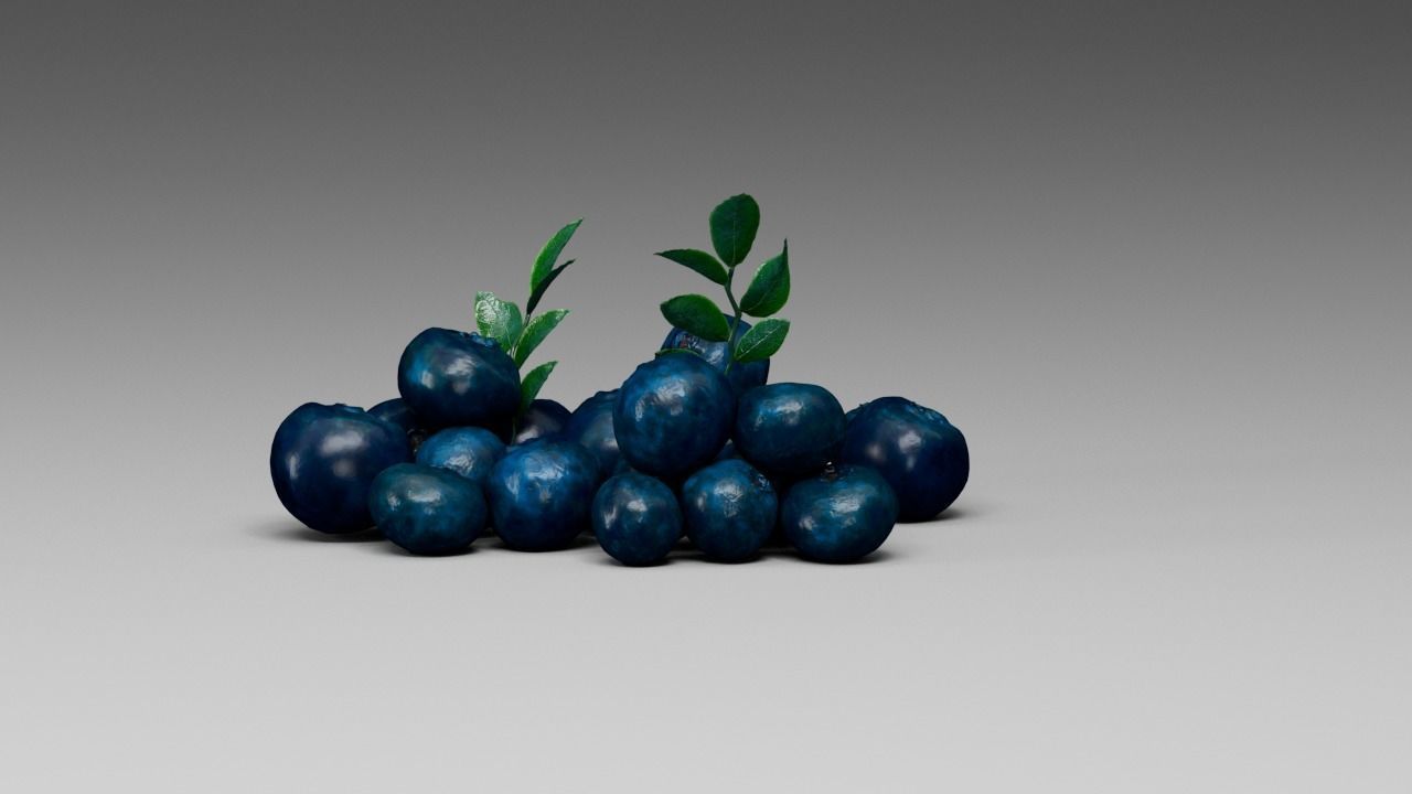 Blueberry 3D model_11