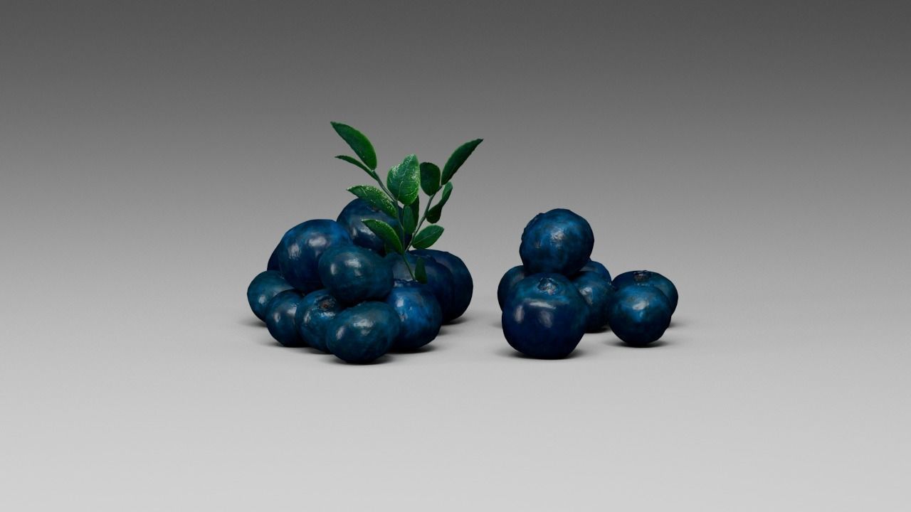 Blueberry 3D model_8