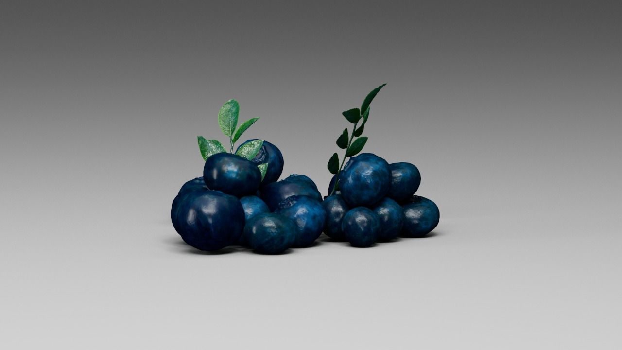Blueberry 3D model_13