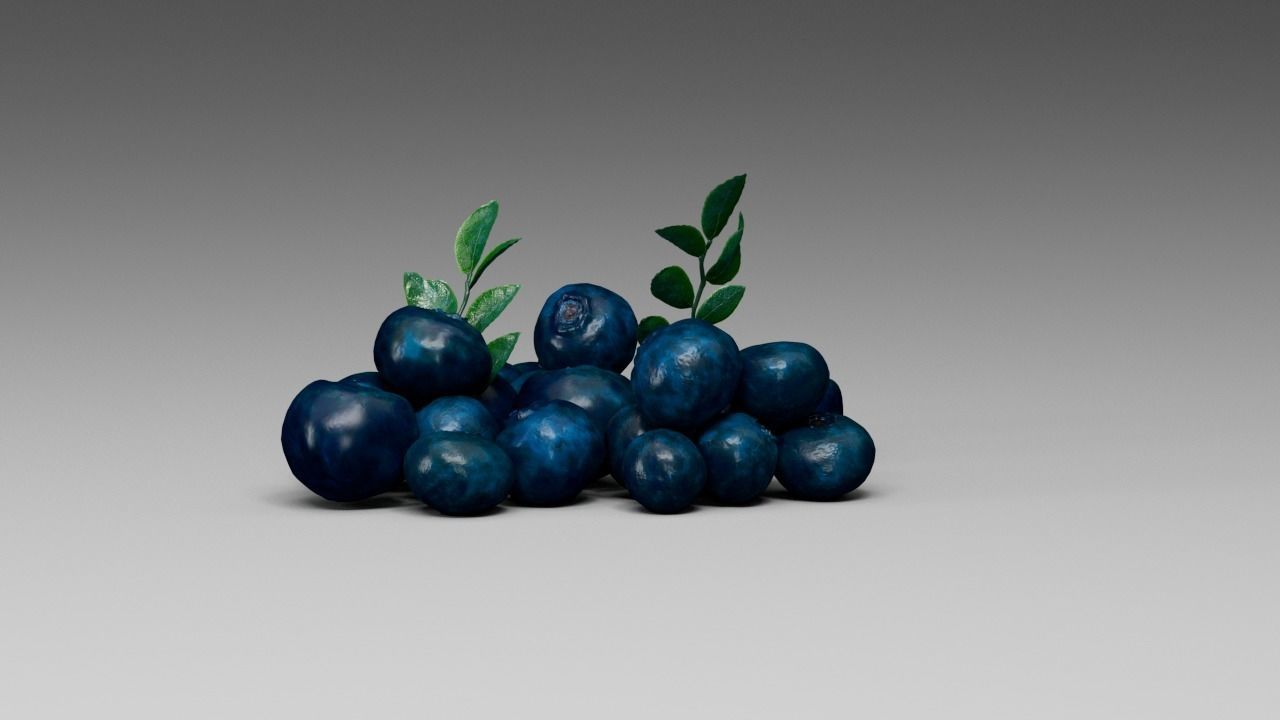 Blueberry 3D model_12