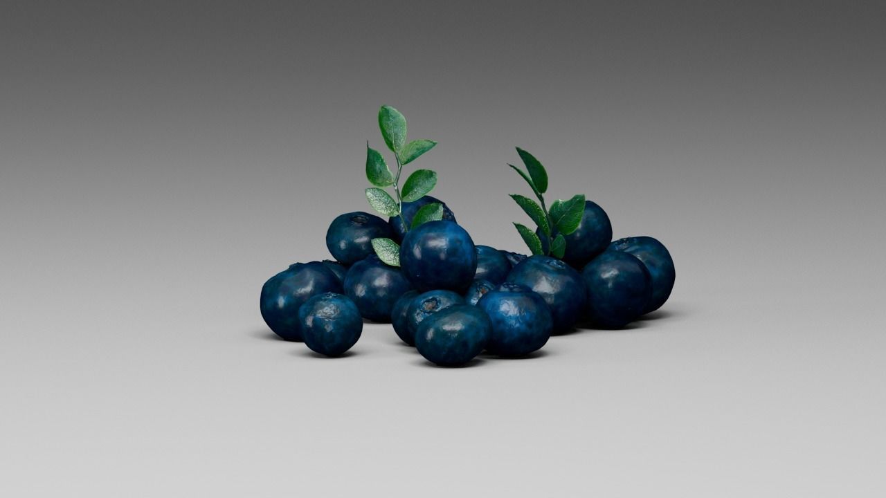 Blueberry 3D model_23