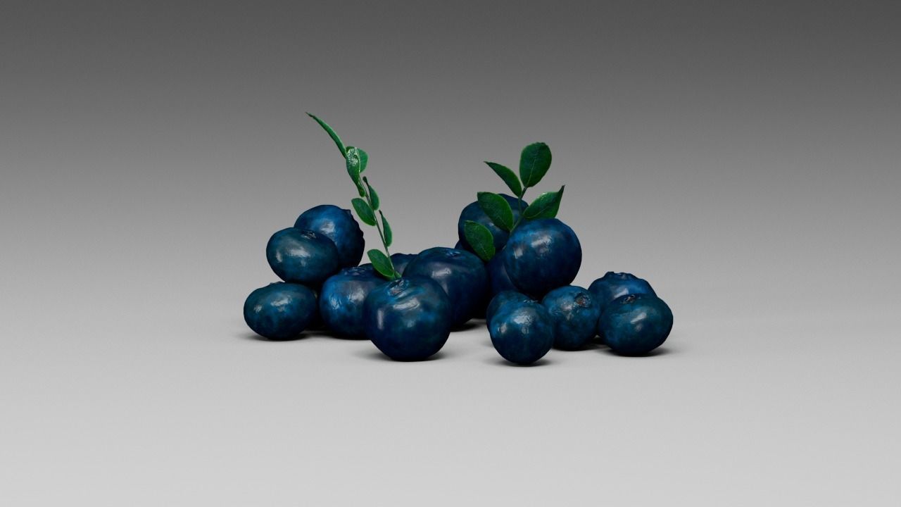 Blueberry 3D model_5