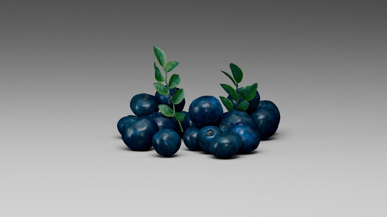 Blueberry 3D model_2