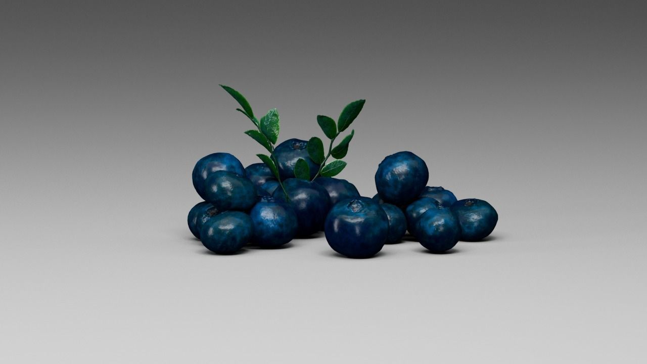 Blueberry 3D model_7