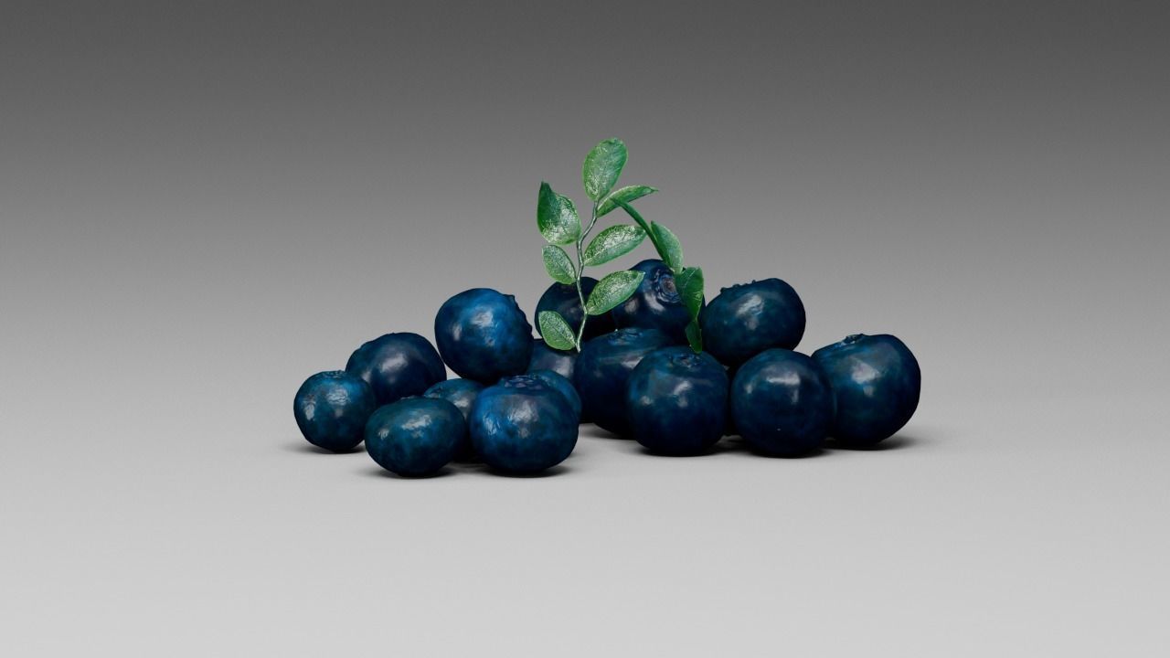 Blueberry 3D model_19