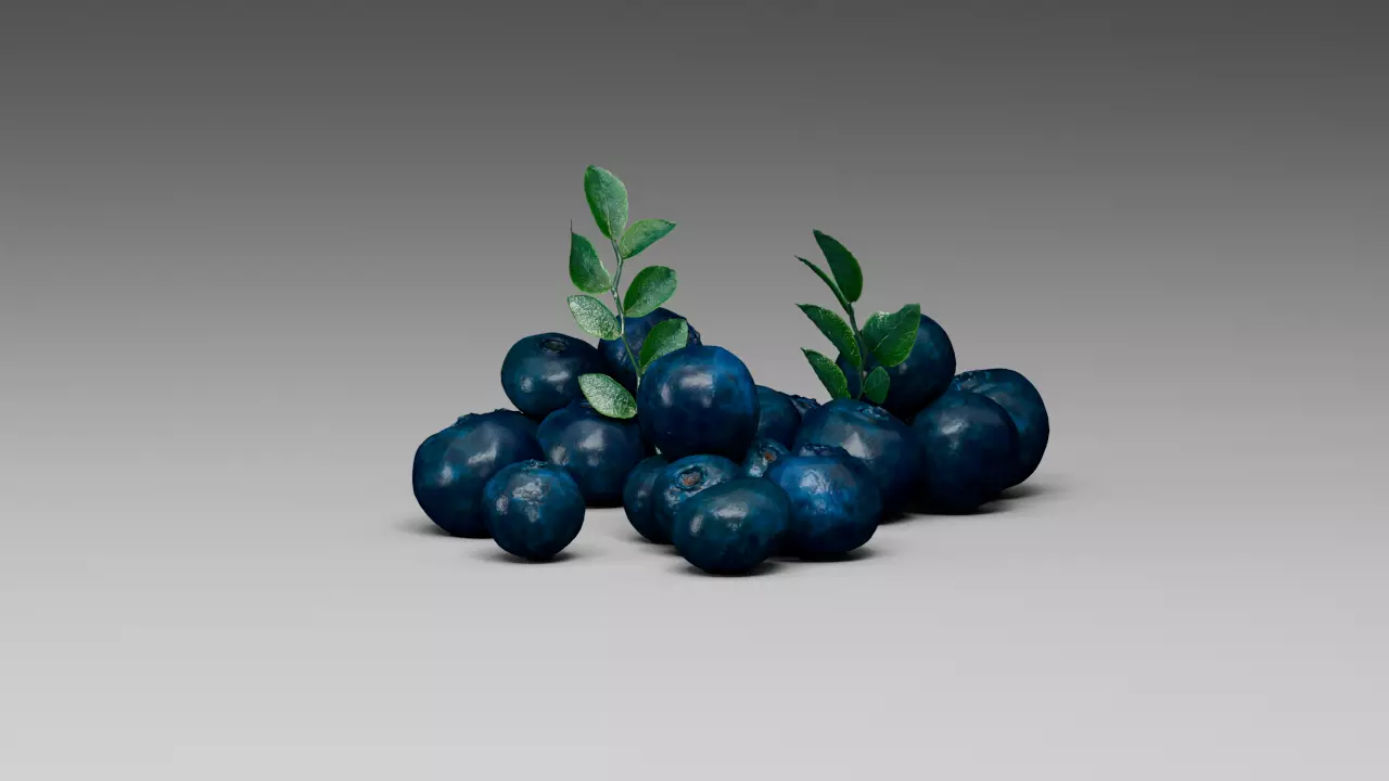 Blueberry 3D model_0