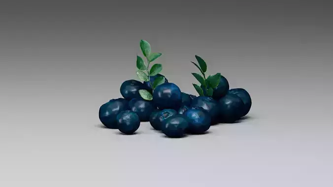 Blueberry 3D model