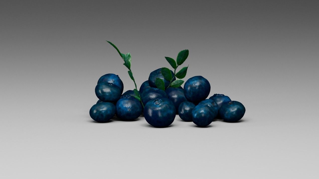 Blueberry 3D model_6