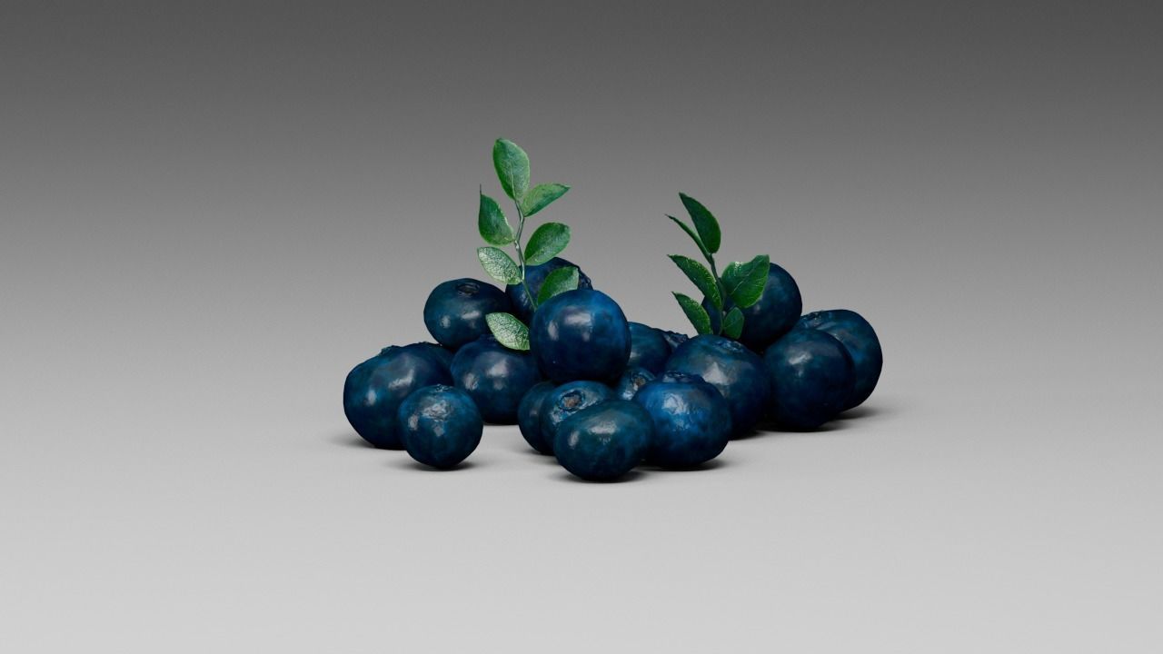 Blueberry 3D model_24