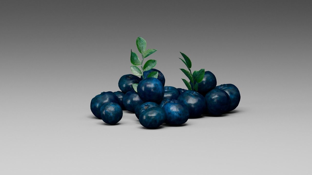 Blueberry 3D model_22
