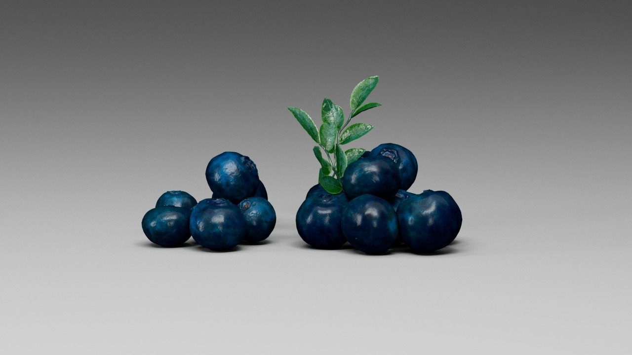 Blueberry 3D model_17