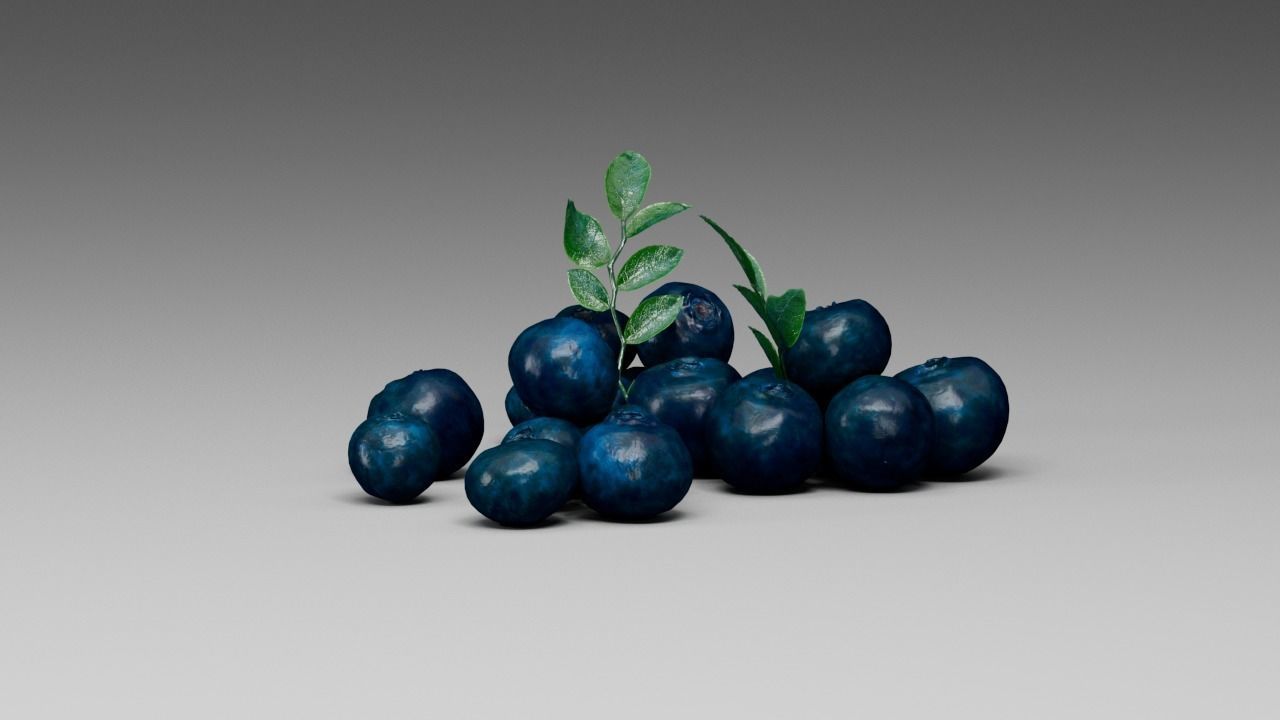 Blueberry 3D model_20