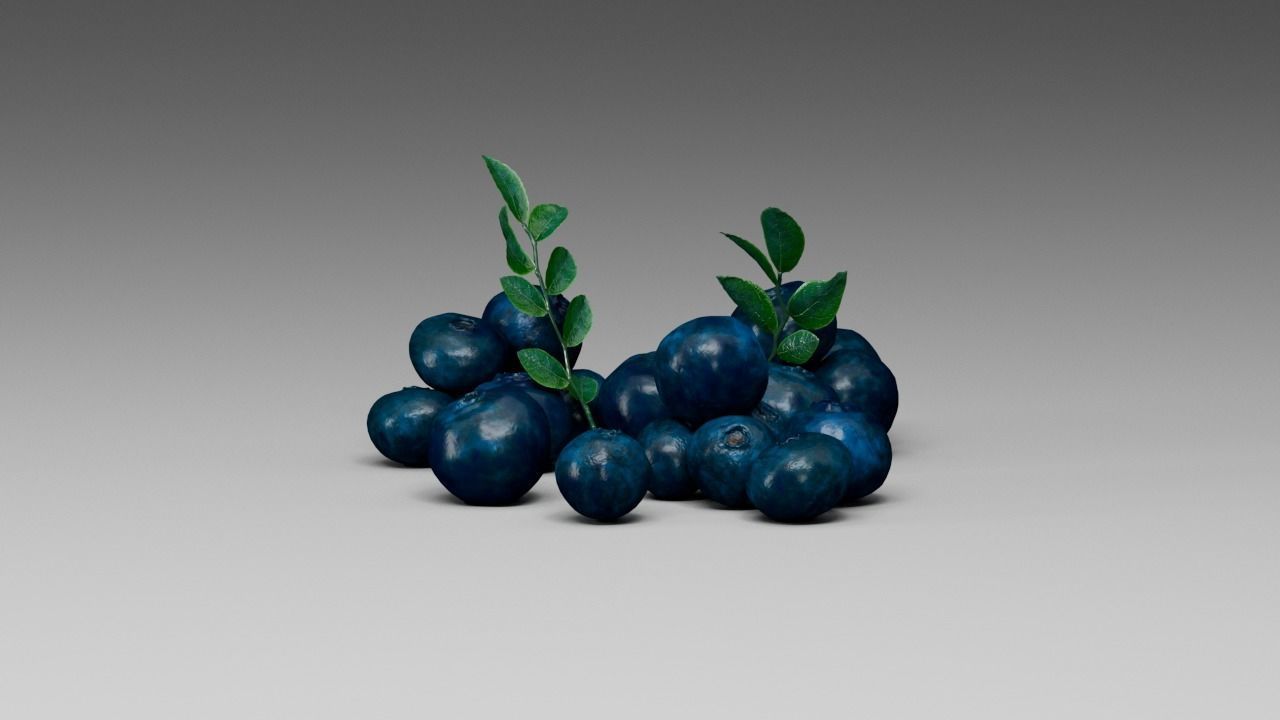 Blueberry 3D model_3