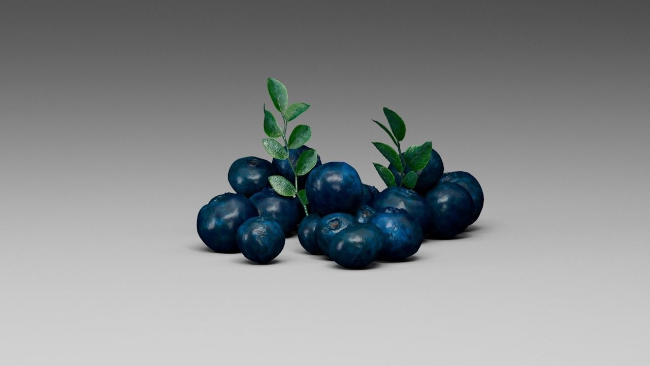 Blueberry 3D model_1