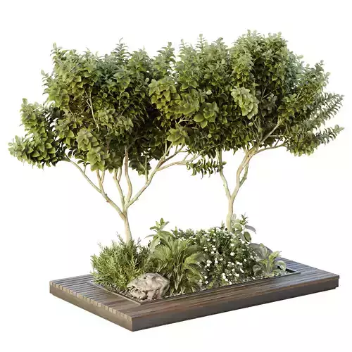 HQ Tree and bush garden box outdoor VOL 46 3D model