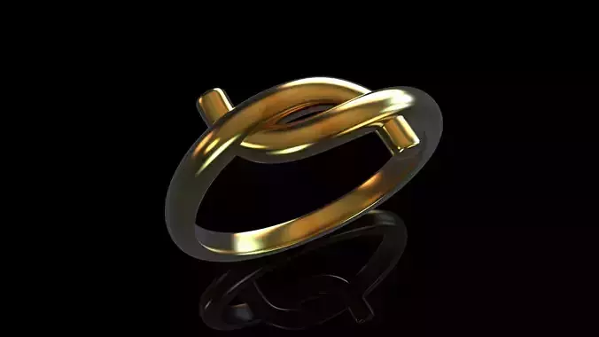 Wire twist ring jewelry 3D print model