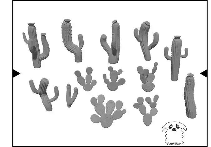 Cactus and chumbera collection