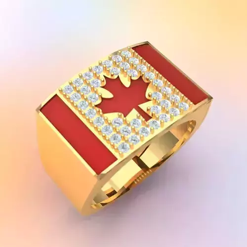 CANADA Design MEENA Ring 3D print model