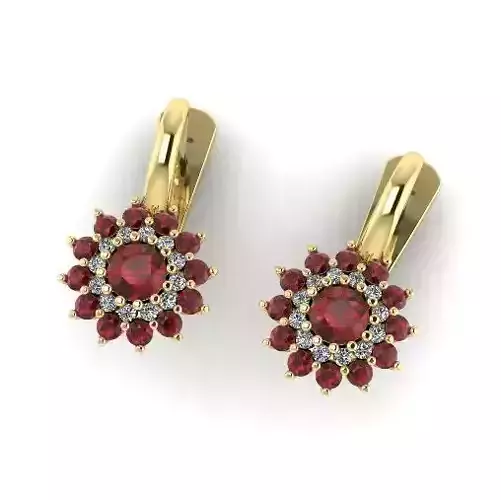 Earrings N01519