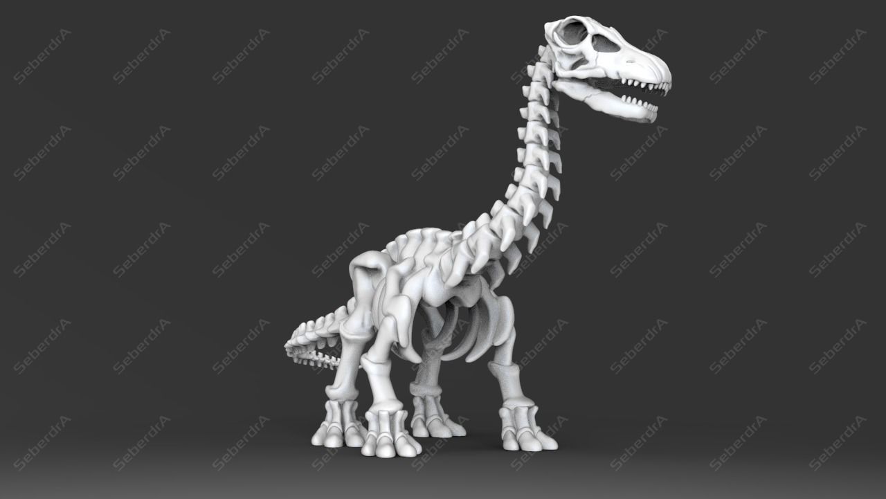 Cute Apatosaurus Skeleton STL for 3D print model_1