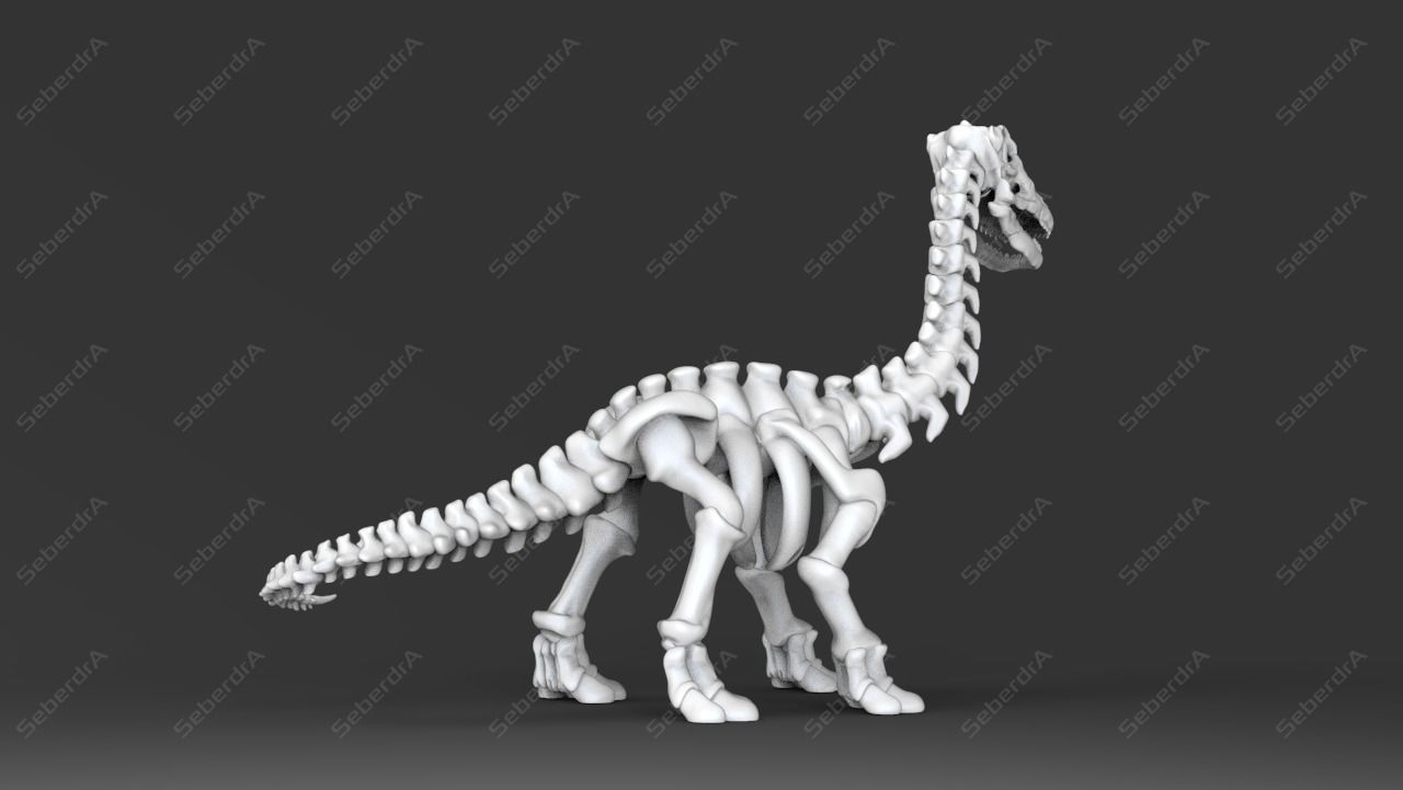 Cute Apatosaurus Skeleton STL for 3D print model_2