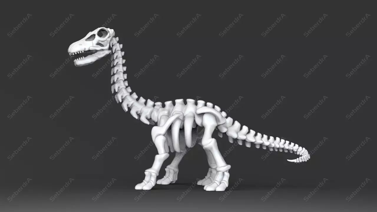 Cute Apatosaurus Skeleton STL for 3D print model_0