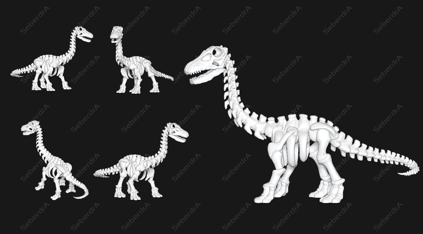 Cute Apatosaurus Skeleton STL for 3D print model_4