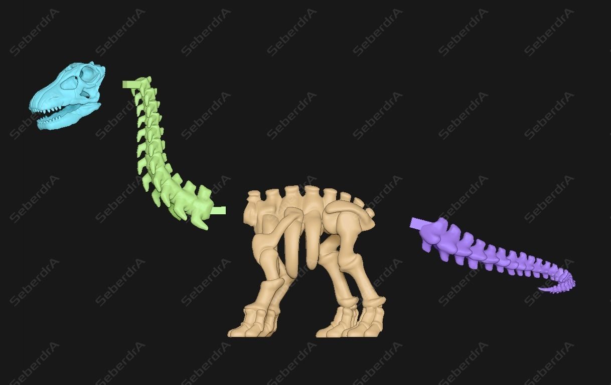 Cute Apatosaurus Skeleton STL for 3D print model_5