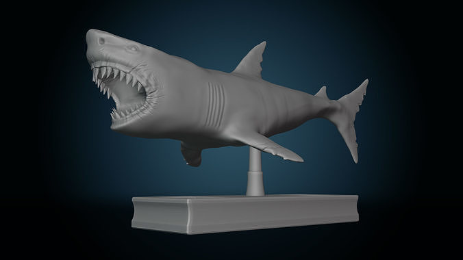 Shark 3D print model