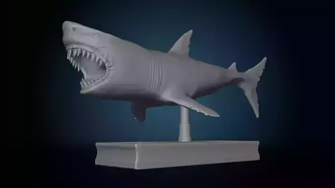 Shark 3D print model