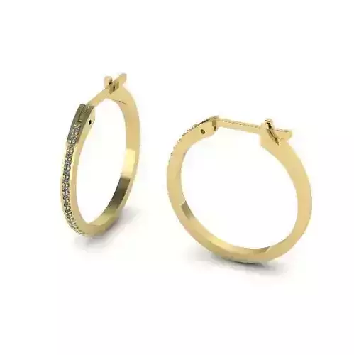 Round earrings N011881