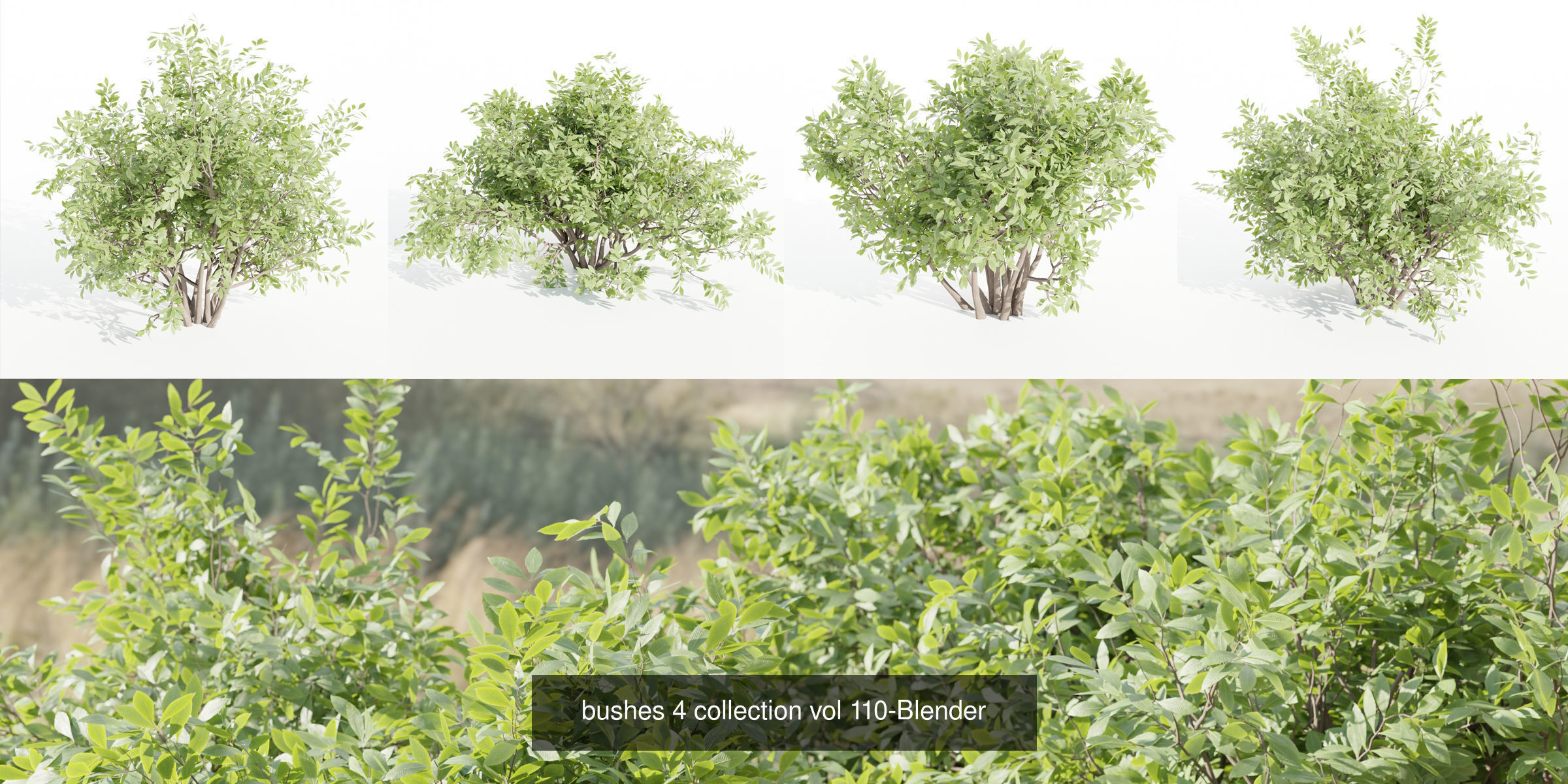 55 Bushes Collection-Blender-3DModel _25