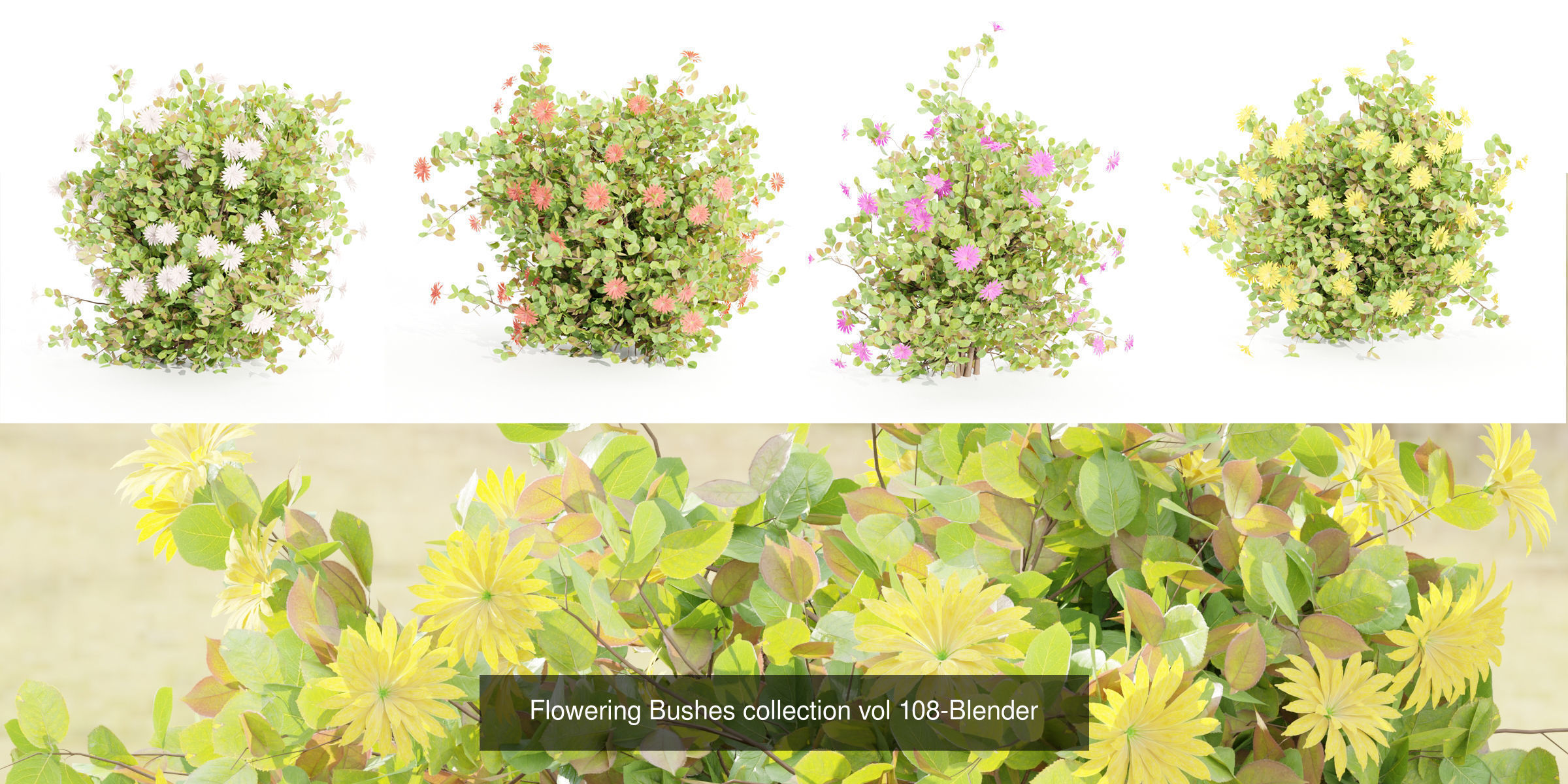 55 Bushes Collection-Blender-3DModel _61