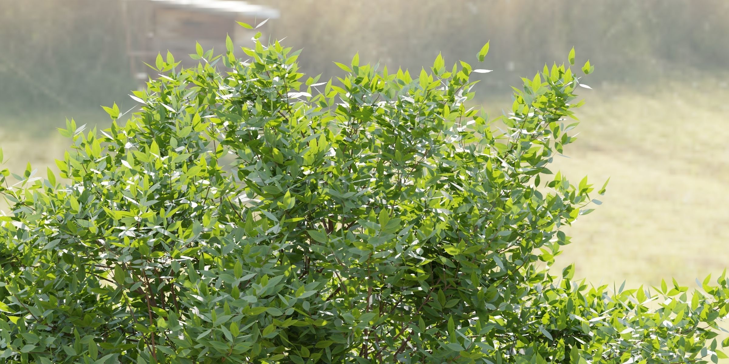 55 Bushes Collection-Blender-3DModel _27