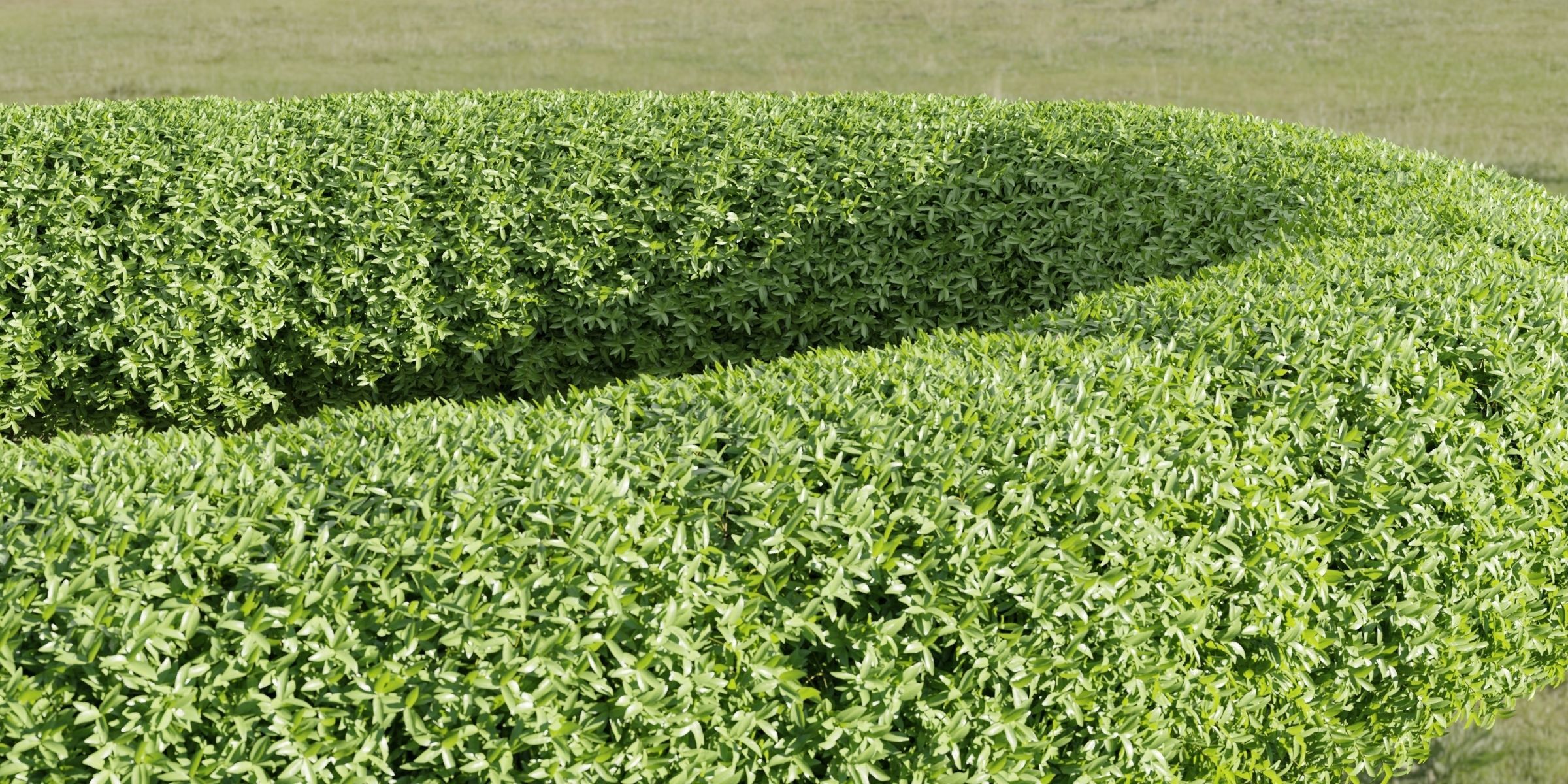 55 Bushes Collection-Blender-3DModel _41