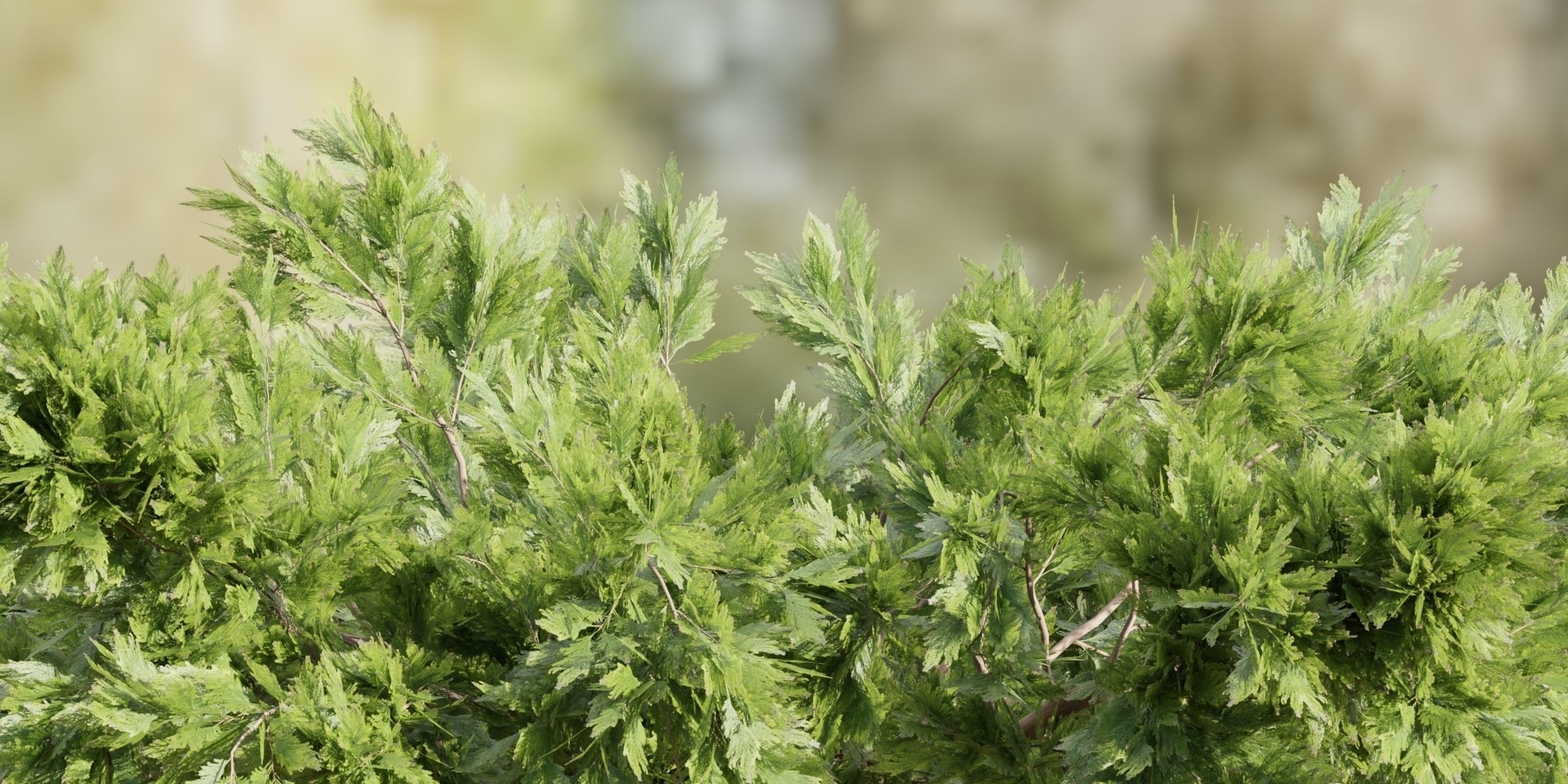 55 Bushes Collection-Blender-3DModel _71