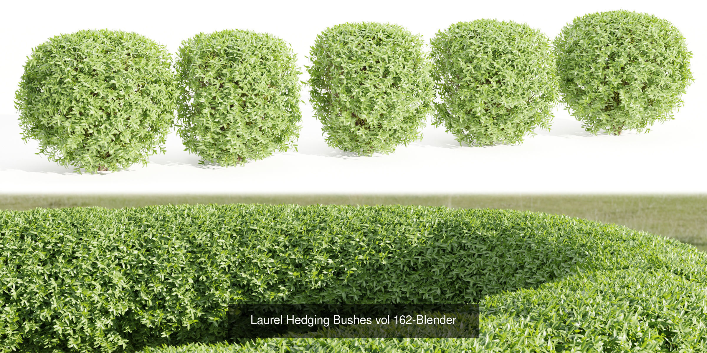 55 Bushes Collection-Blender-3DModel _40