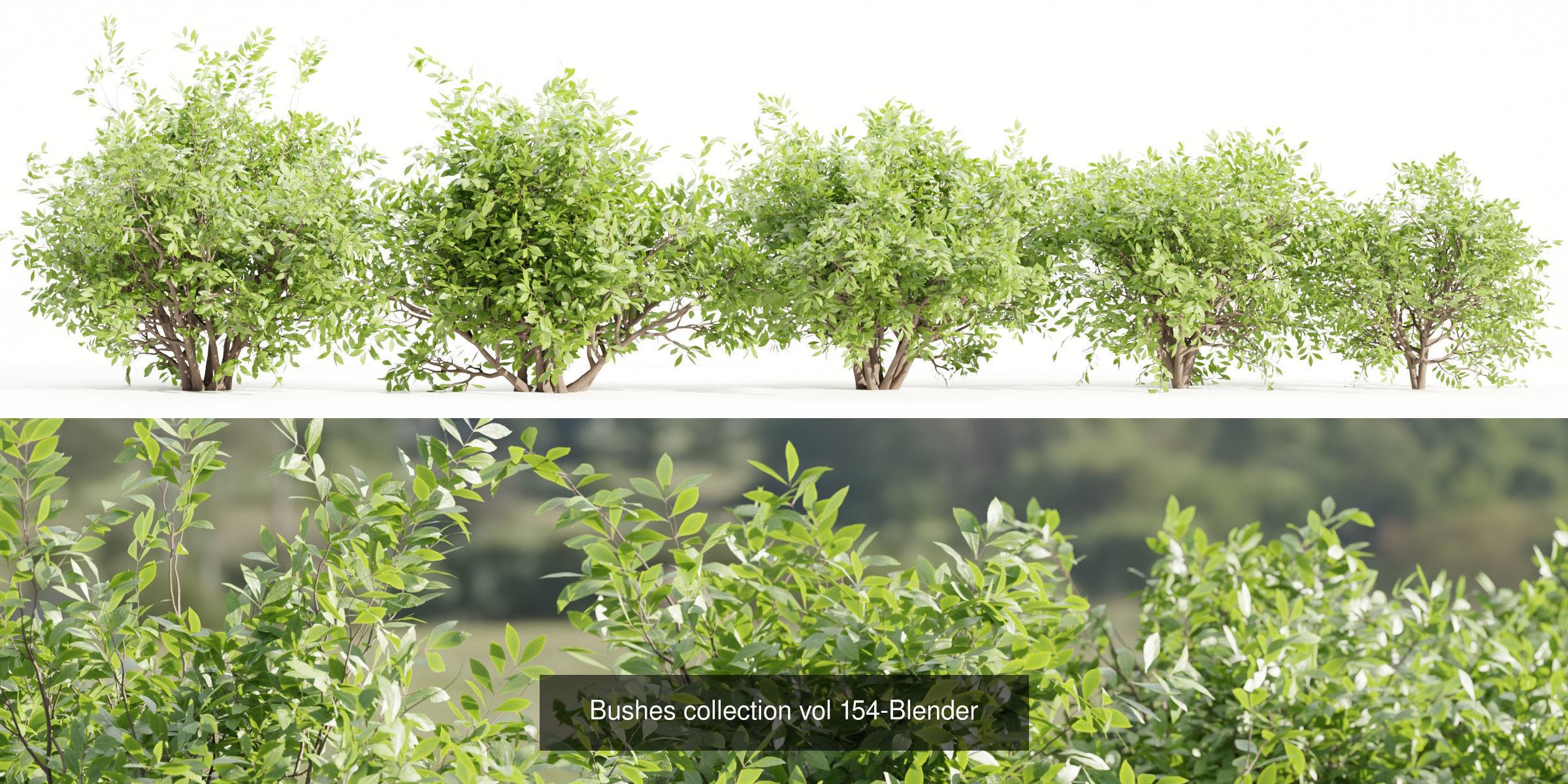 55 Bushes Collection-Blender-3DModel _28