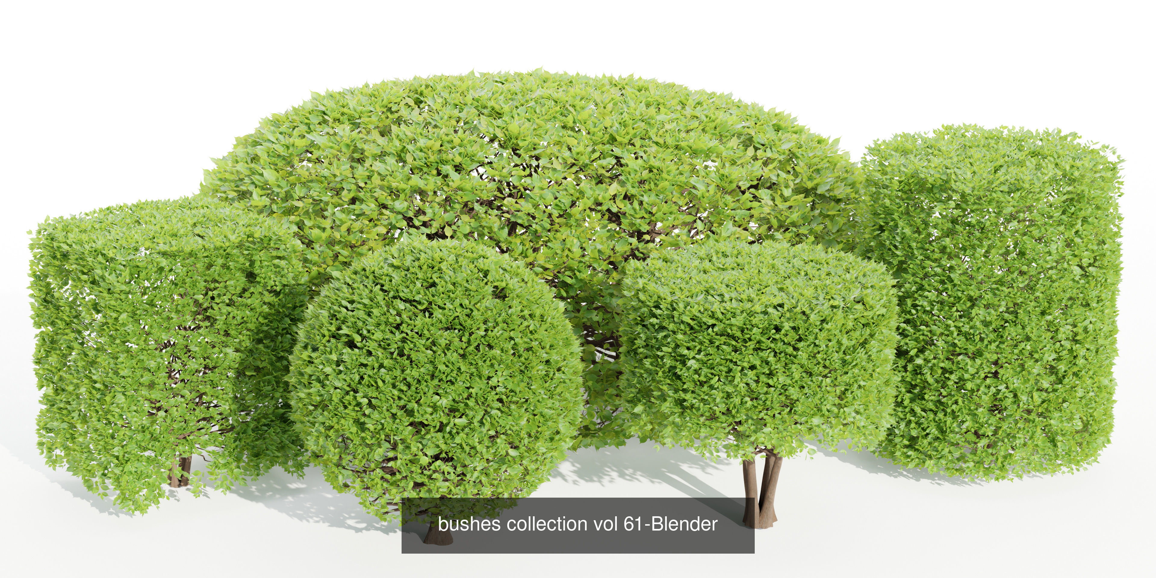 55 Bushes Collection-Blender-3DModel _11