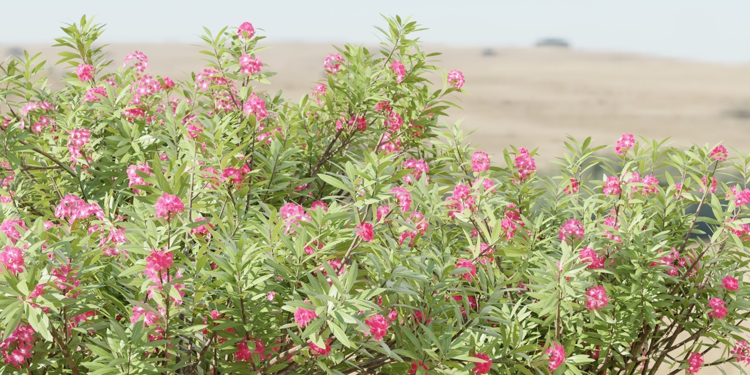 55 Bushes Collection-Blender-3DModel _56