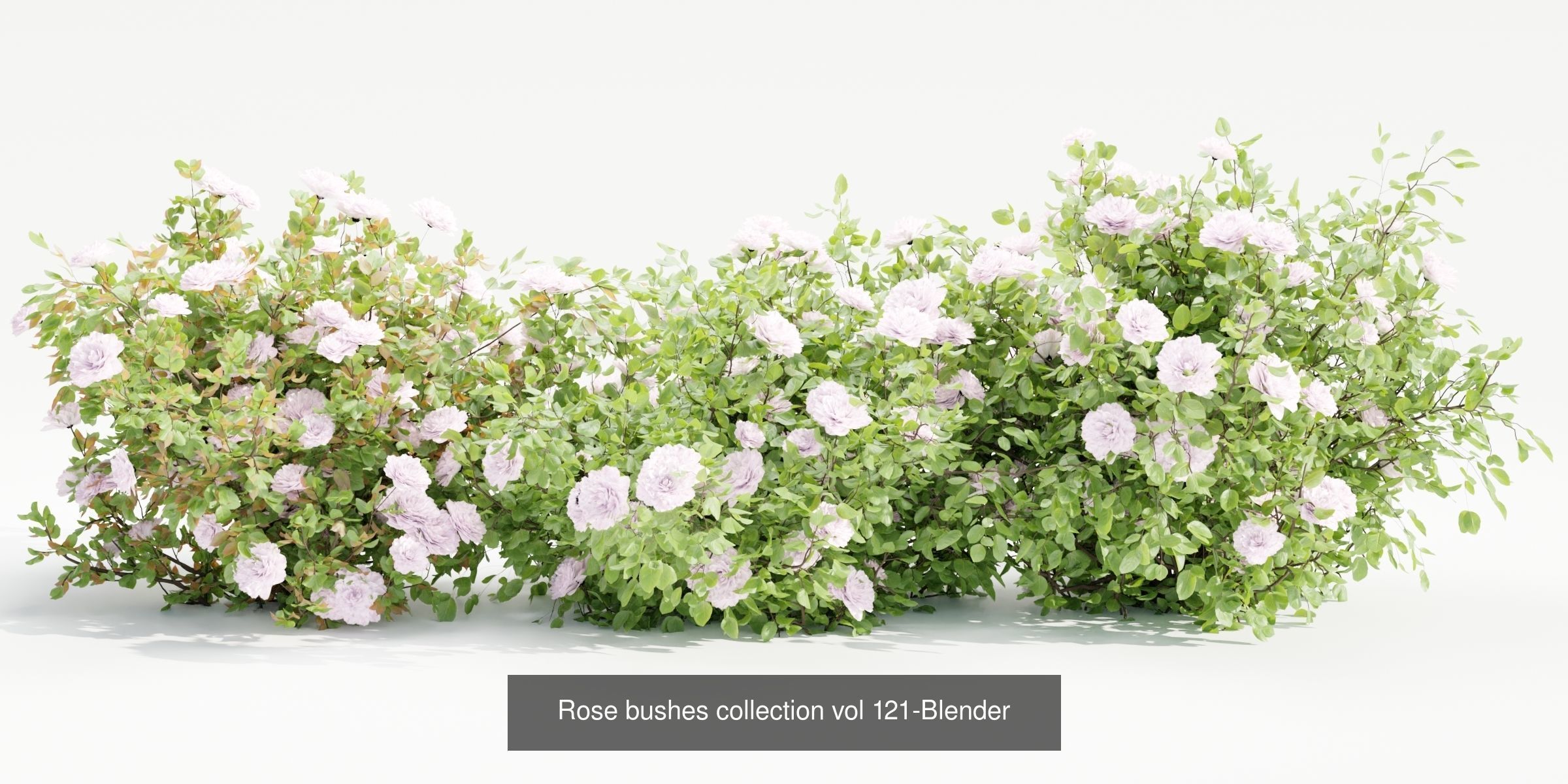 55 Bushes Collection-Blender-3DModel _4