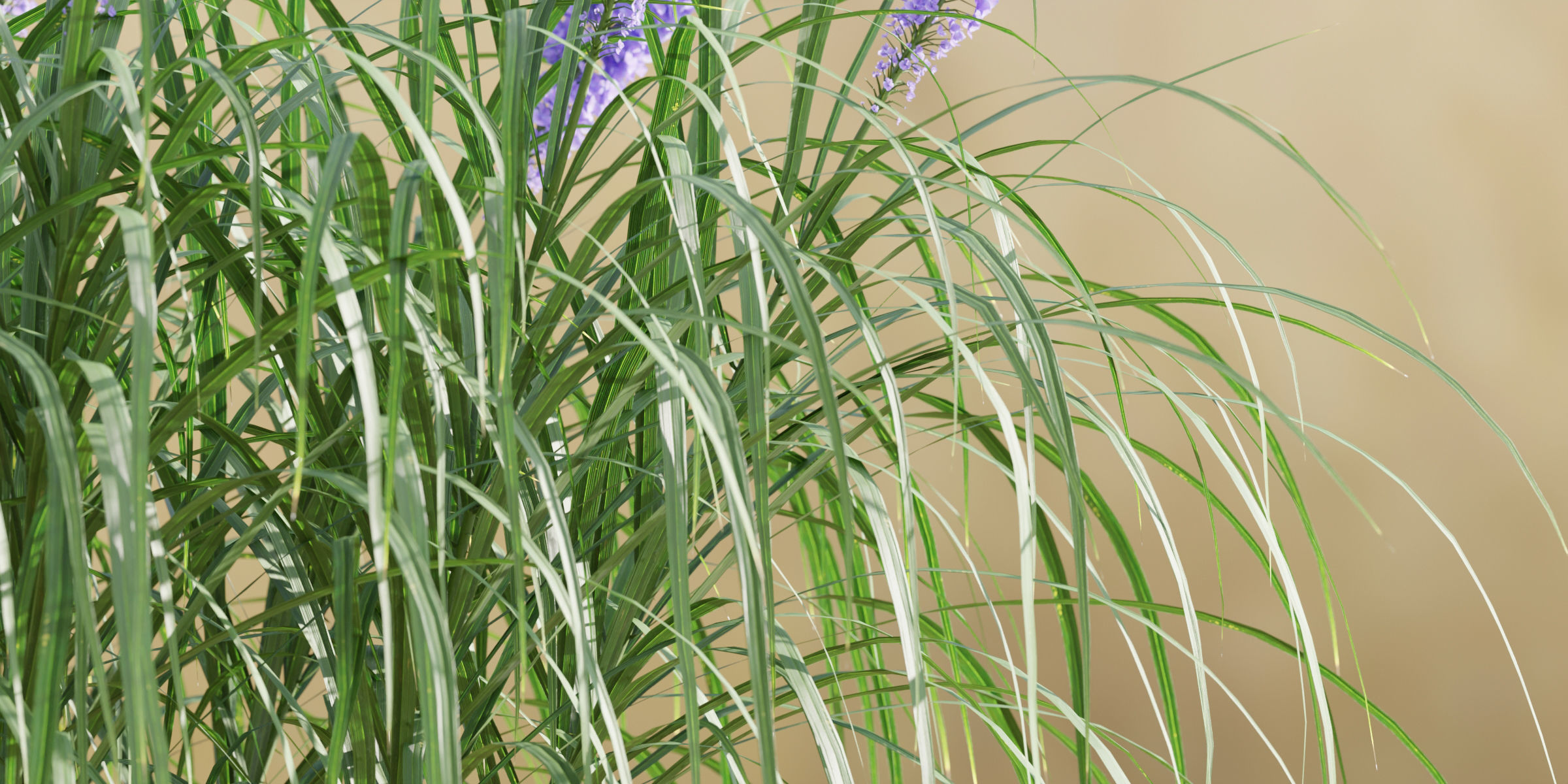 55 Bushes Collection-Blender-3DModel _22