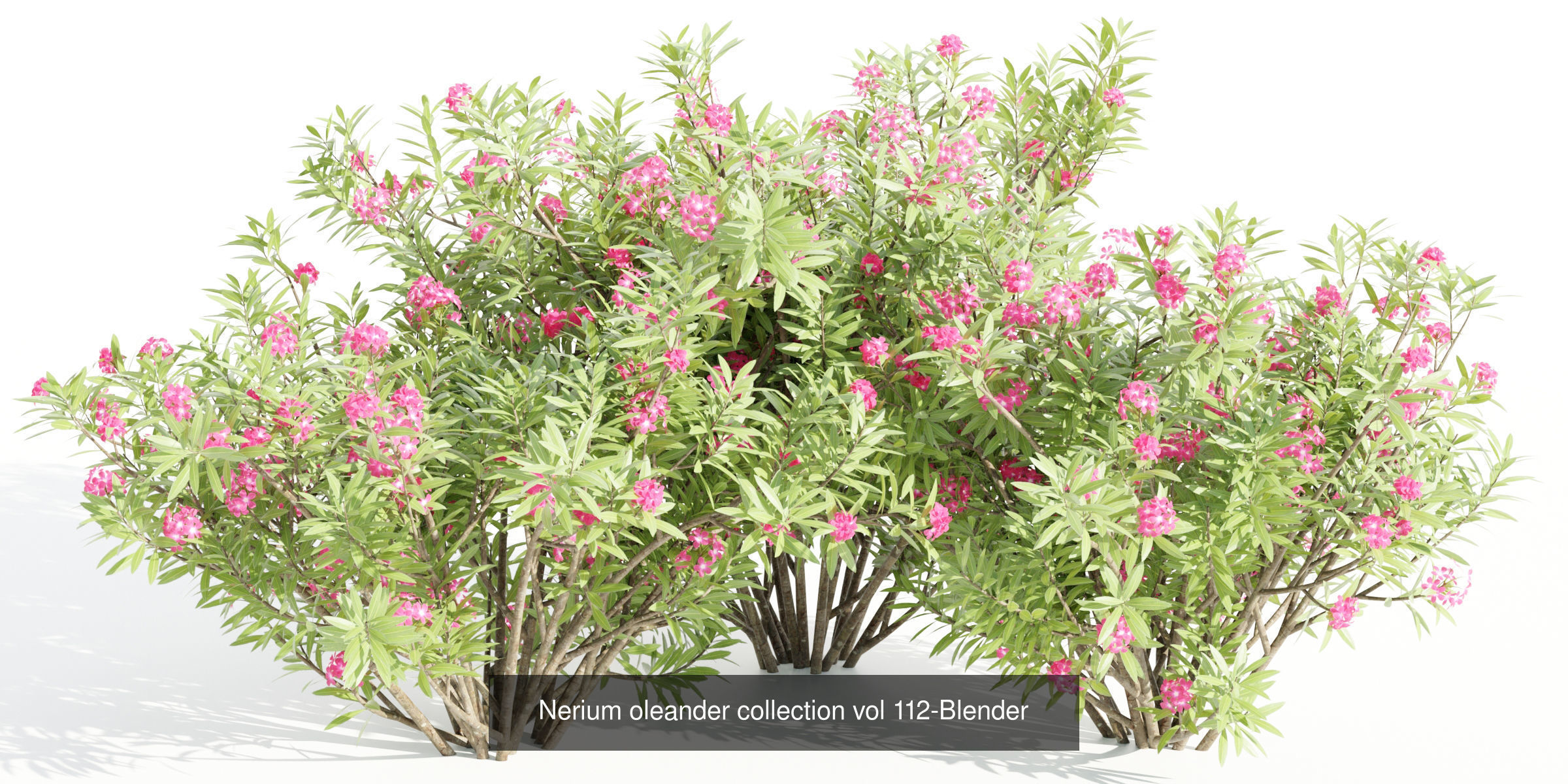 55 Bushes Collection-Blender-3DModel _13