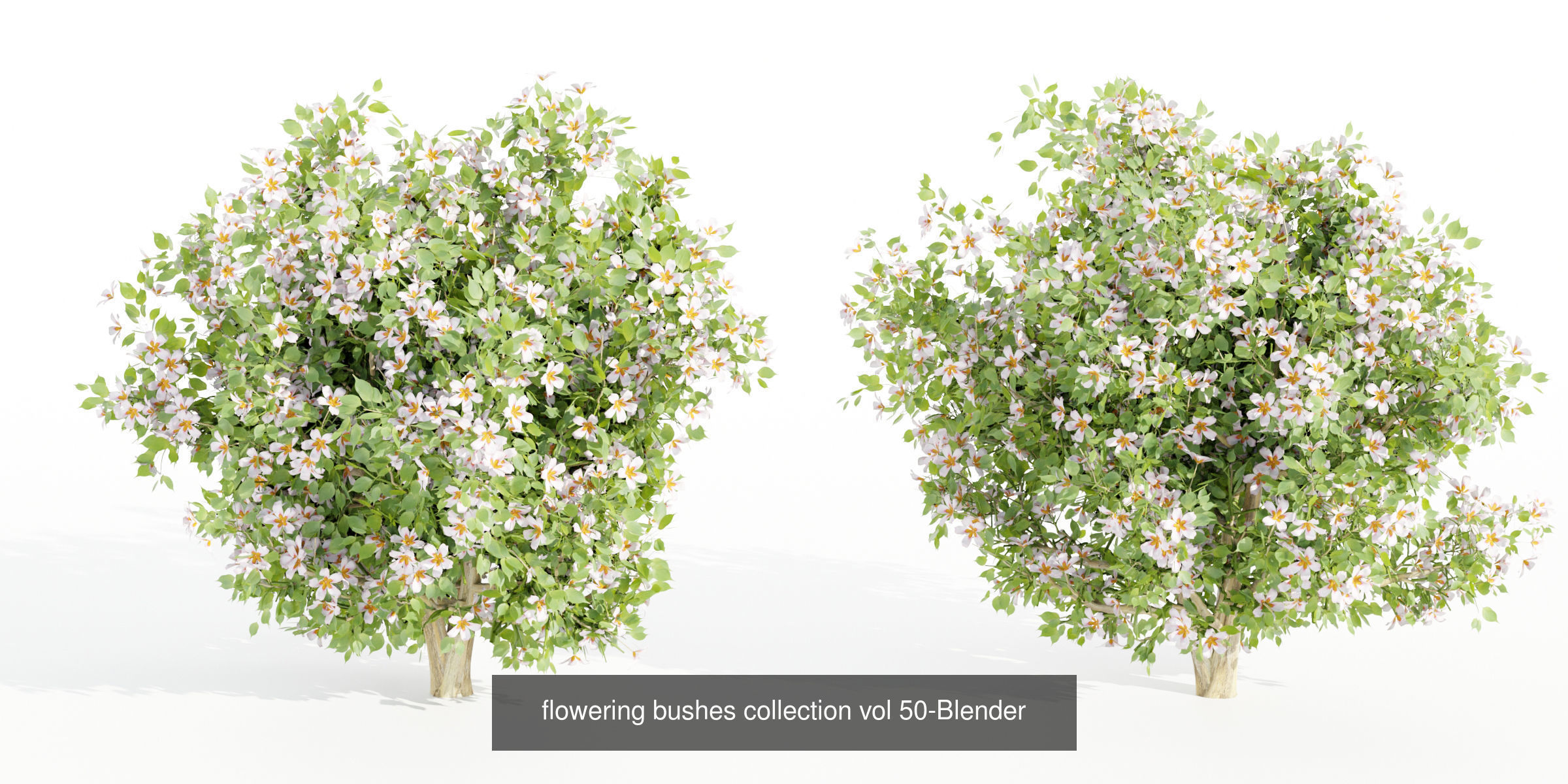 55 Bushes Collection-Blender-3DModel _66