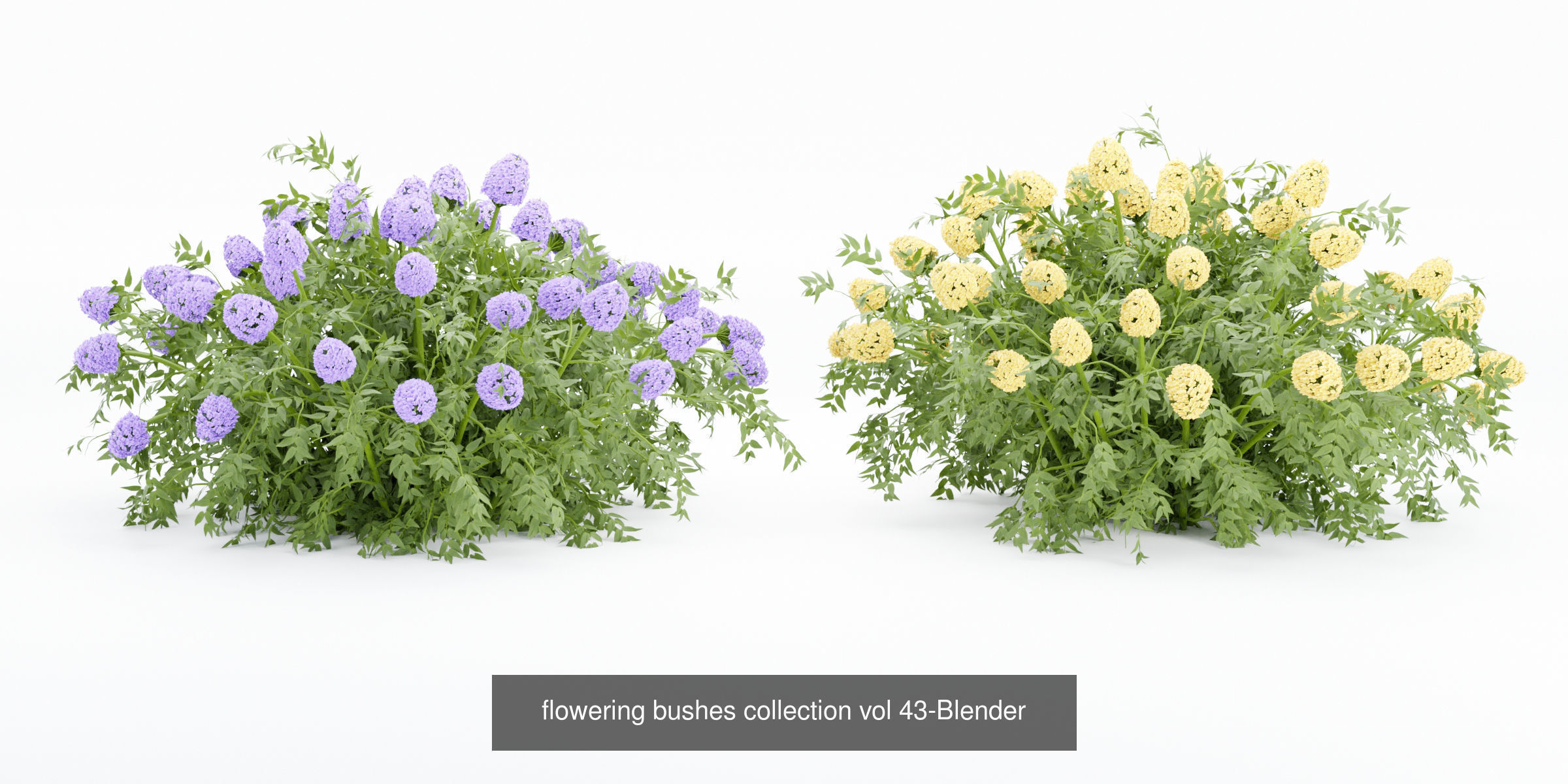 55 Bushes Collection-Blender-3DModel _1