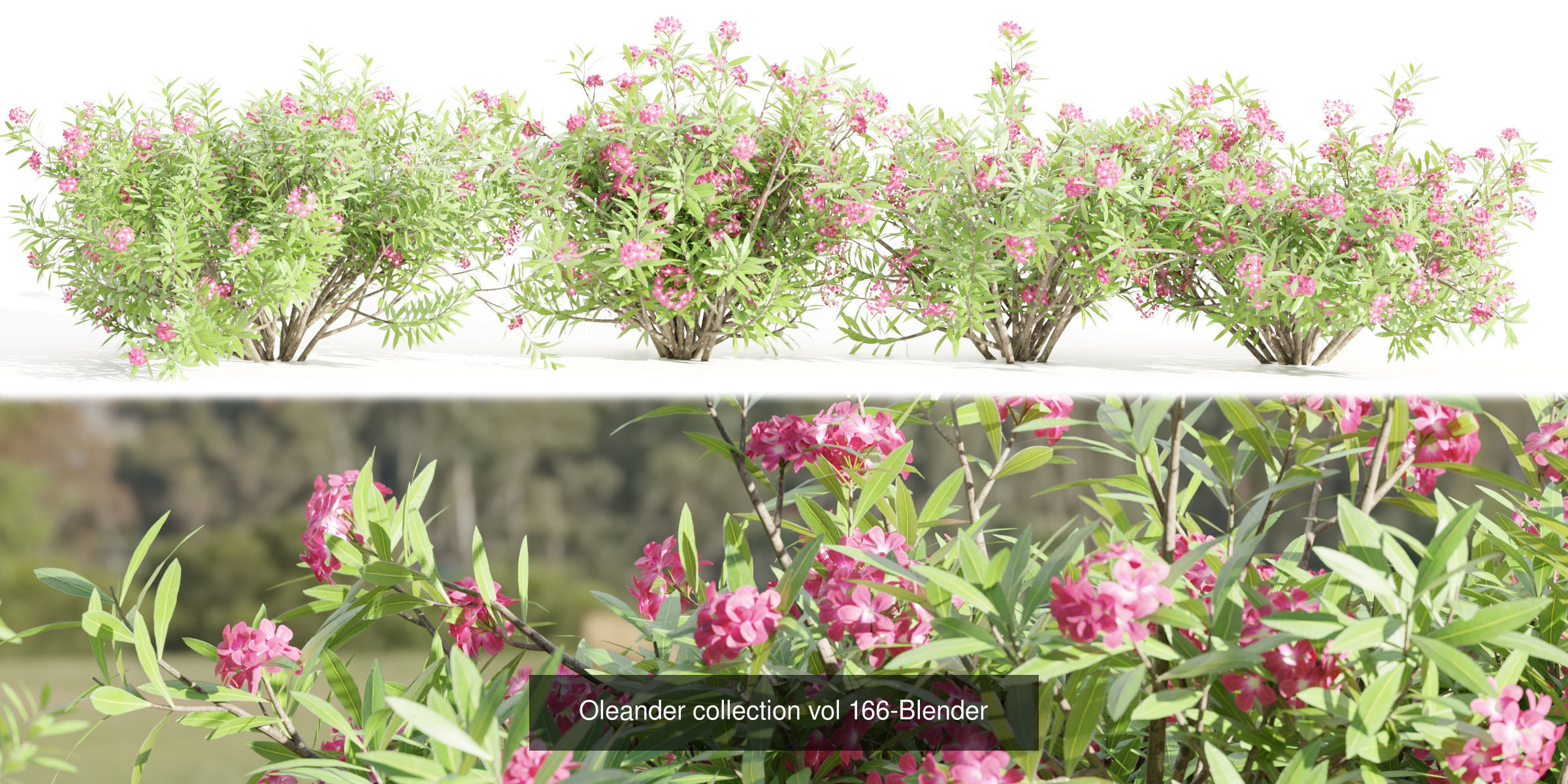 55 Bushes Collection-Blender-3DModel _53