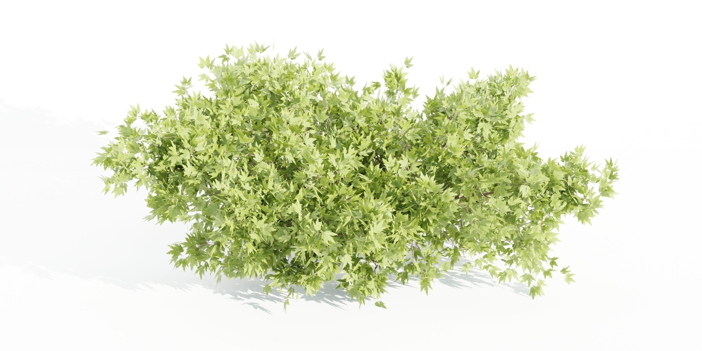 55 Bushes Collection-Blender-3DModel _74